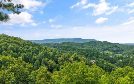 2421 Misty Shadows Drive, Sevierville, TN 37862 - Photo 56