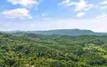 2421 Misty Shadows Drive, Sevierville, TN 37862 - Photo 60