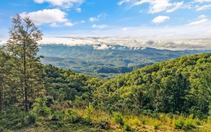 Tract 24 Chilhowee Mountain Trail, Maryville, TN 37803 - Photo 4