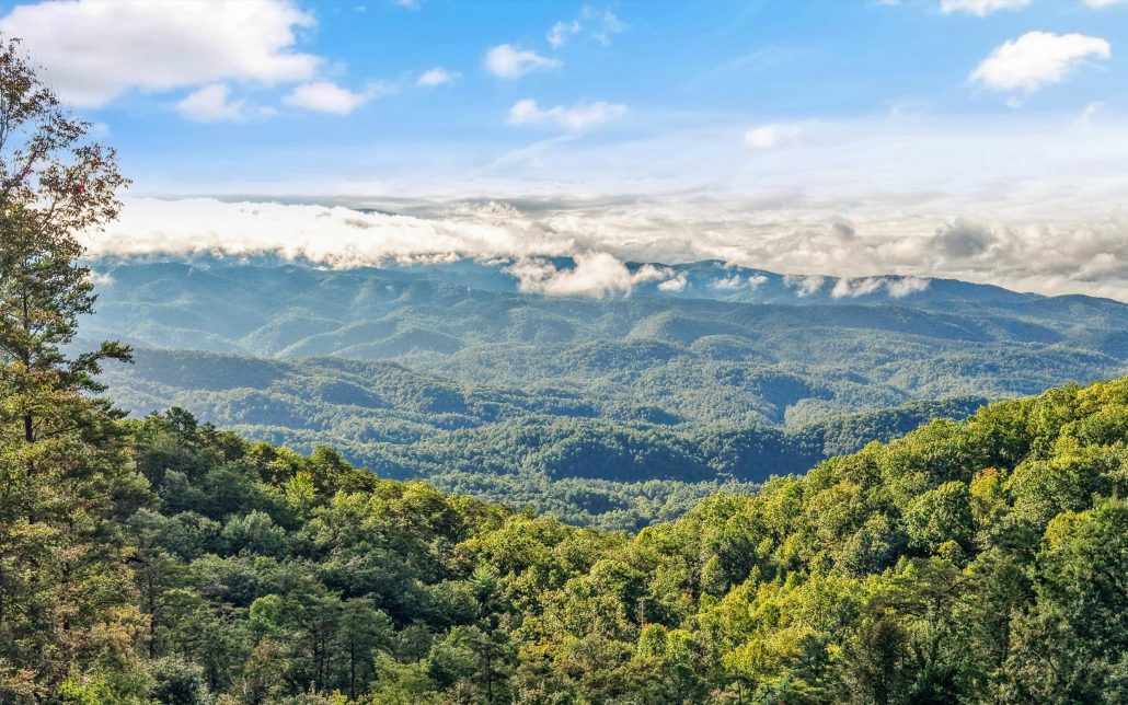 Tract 24 Chilhowee Mountain Trail, Maryville, TN 37803 - Photo 6