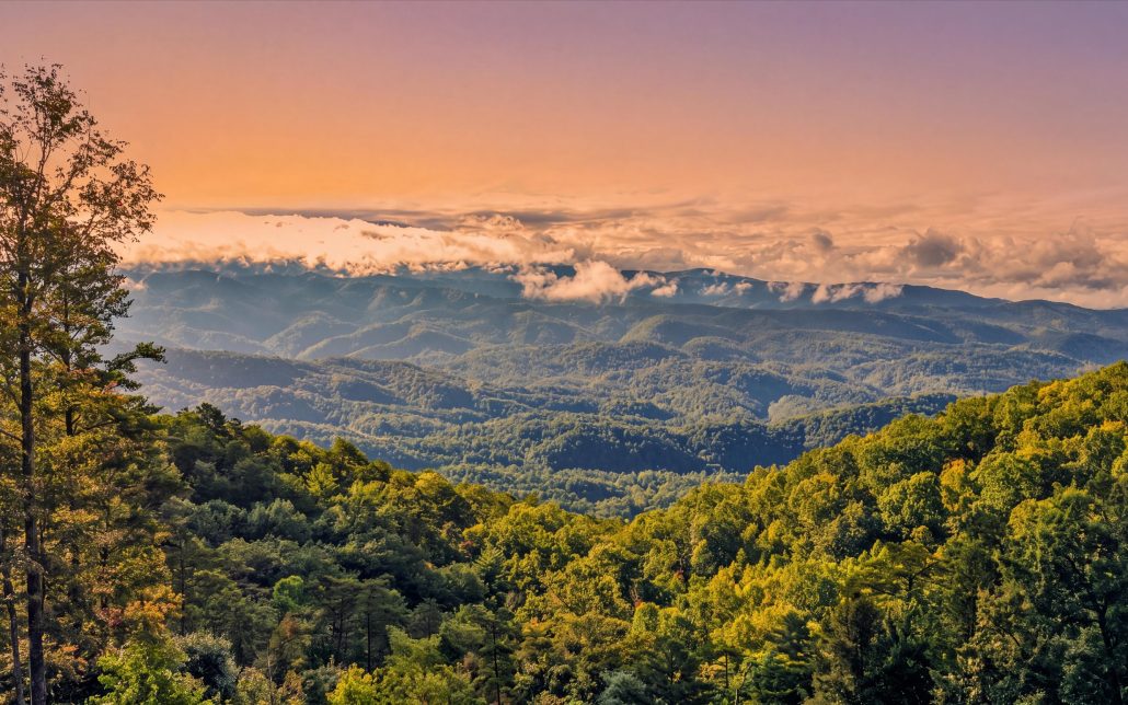 Tract 24 Chilhowee Mountain Trail, Maryville, TN 37803 - Photo 7