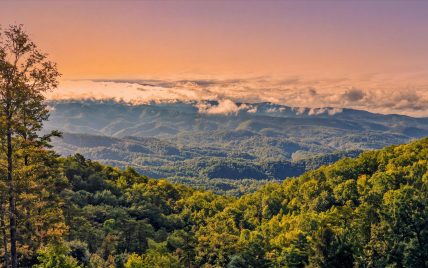 Tract 24 Chilhowee Mountain Trail, Maryville, TN 37803 - Photo 7