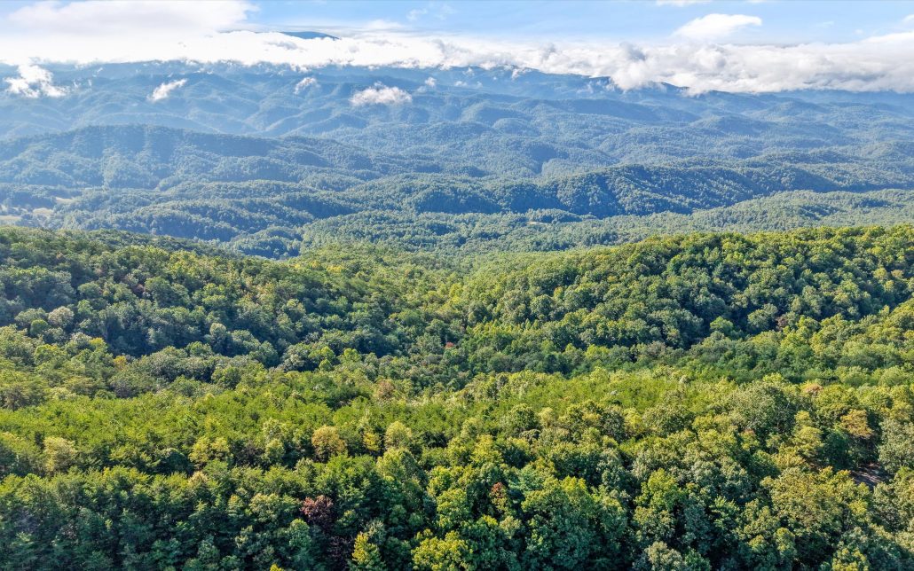 Tract 24 Chilhowee Mountain Trail, Maryville, TN 37803 - Photo 8