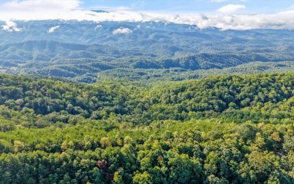 Tract 24 Chilhowee Mountain Trail, Maryville, TN 37803 - Photo 8