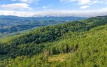 Tract 24 Chilhowee Mountain Trail, Maryville, TN 37803 - Photo 9