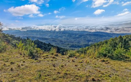 Tract 24 Chilhowee Mountain Trail, Maryville, TN 37803 - Photo 10