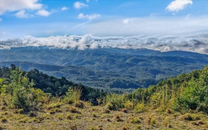 Tract 24 Chilhowee Mountain Trail, Maryville, TN 37803 - Photo 12