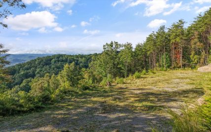 Tract 24 Chilhowee Mountain Trail, Maryville, TN 37803 - Photo 15