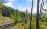Tract 24 Chilhowee Mountain Trail, Maryville, TN 37803 - Photo 17