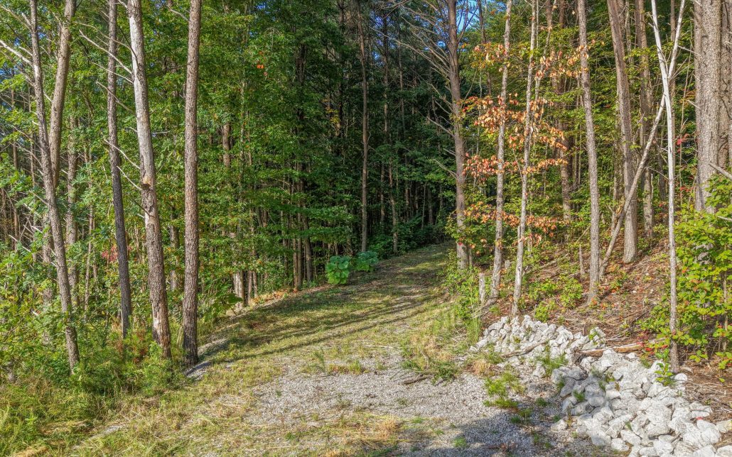 Tract 24 Chilhowee Mountain Trail, Maryville, TN 37803 - Photo 18