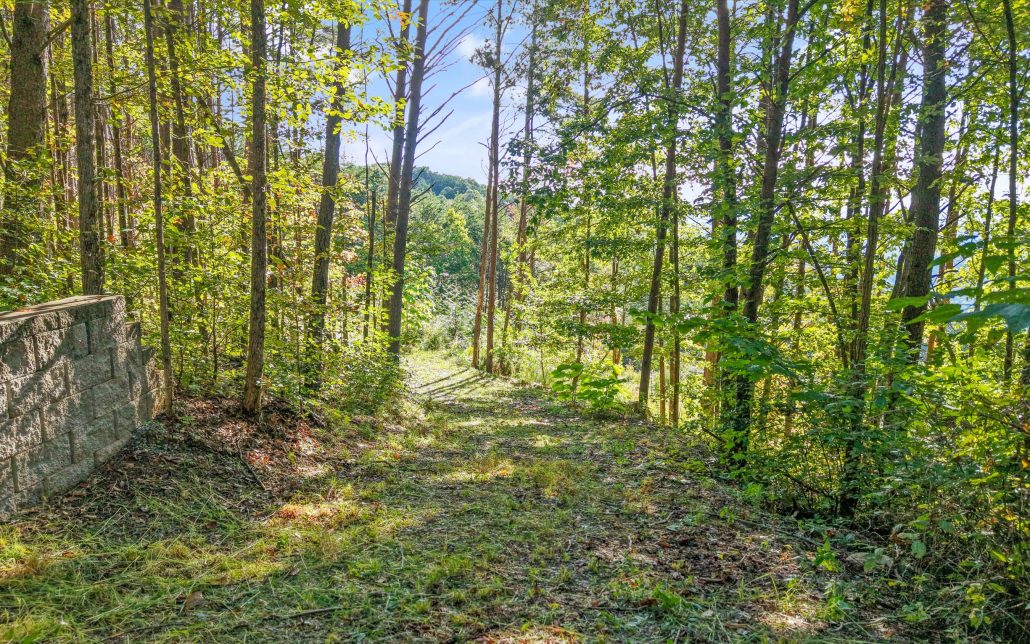 Tract 24 Chilhowee Mountain Trail, Maryville, TN 37803 - Photo 19