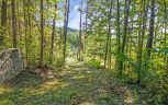 Tract 24 Chilhowee Mountain Trail, Maryville, TN 37803 - Photo 19