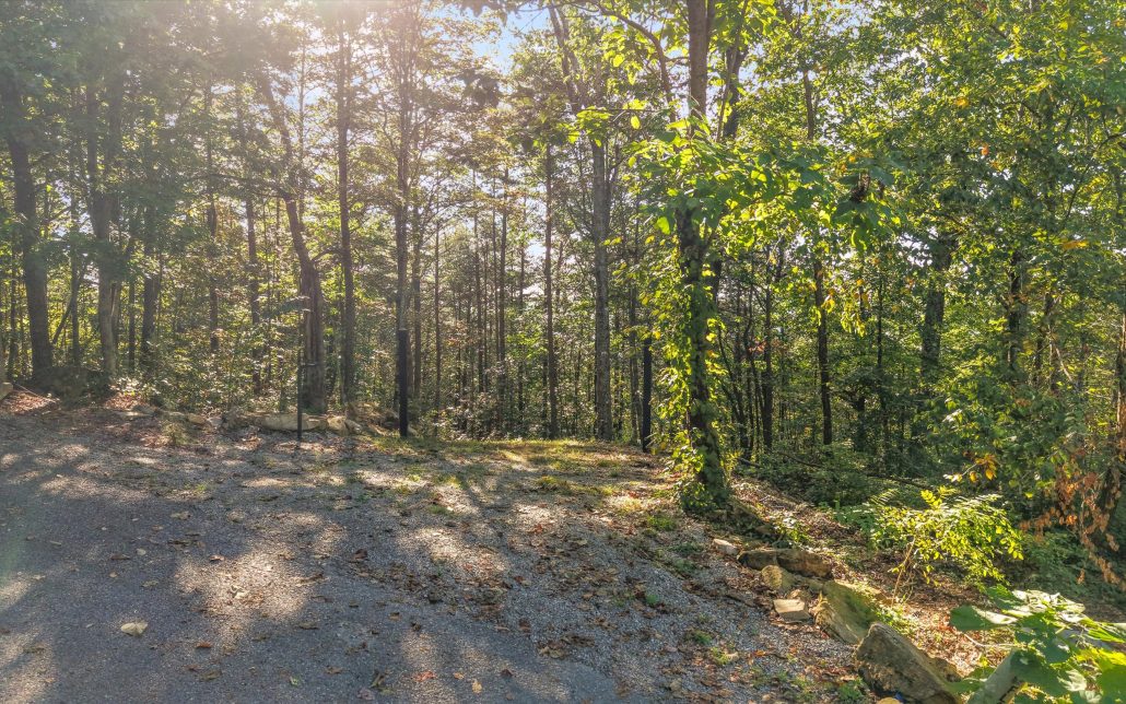 Tract 24 Chilhowee Mountain Trail, Maryville, TN 37803 - Photo 21
