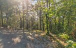 Tract 24 Chilhowee Mountain Trail, Maryville, TN 37803 - Photo 21