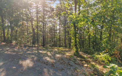 Tract 24 Chilhowee Mountain Trail, Maryville, TN 37803 - Photo 21