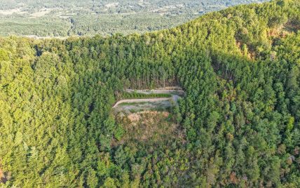 Tract 24 Chilhowee Mountain Trail, Maryville, TN 37803 - Photo 23