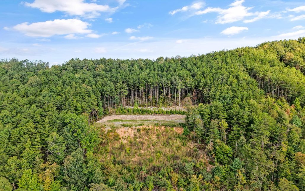 Tract 24 Chilhowee Mountain Trail, Maryville, TN 37803 - Photo 26