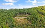 Tract 24 Chilhowee Mountain Trail, Maryville, TN 37803 - Photo 26