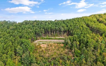 Tract 24 Chilhowee Mountain Trail, Maryville, TN 37803 - Photo 26