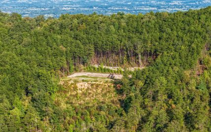 Tract 24 Chilhowee Mountain Trail, Maryville, TN 37803 - Photo 27