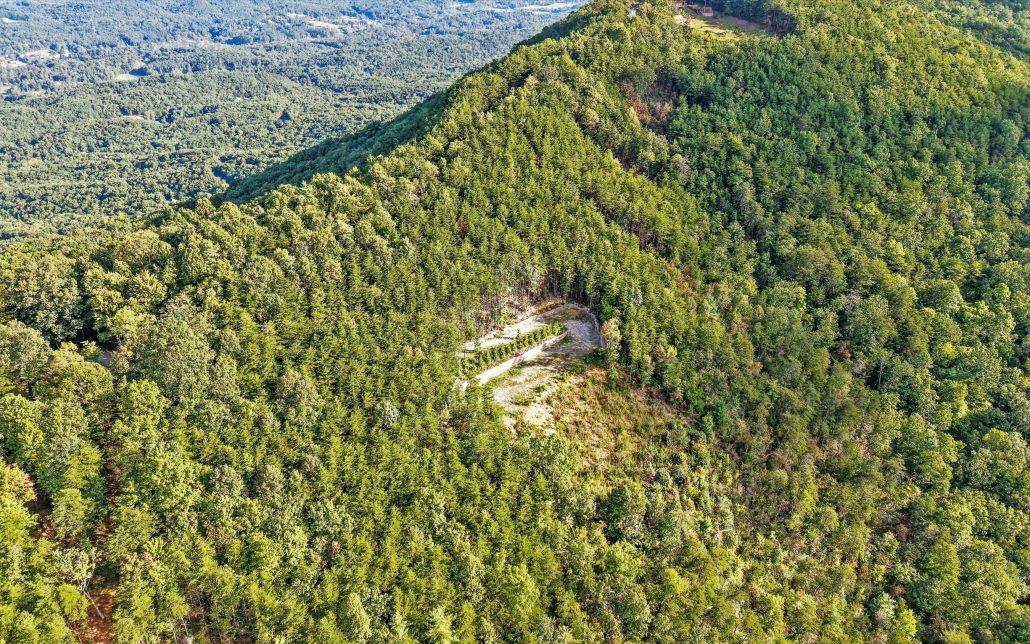 Tract 24 Chilhowee Mountain Trail, Maryville, TN 37803 - Photo 28