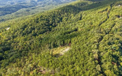 Tract 24 Chilhowee Mountain Trail, Maryville, TN 37803 - Photo 29