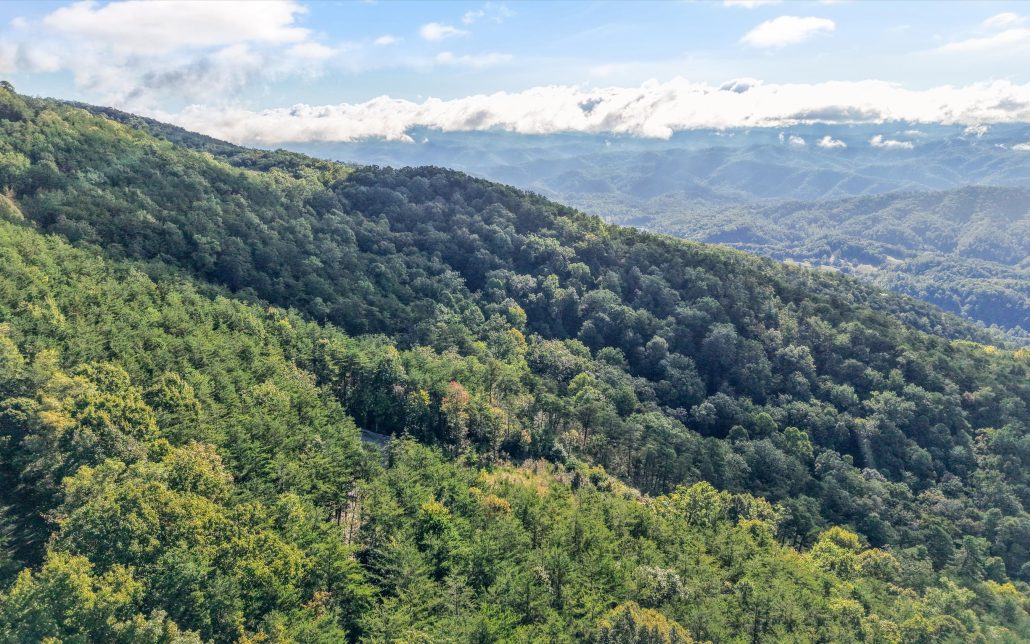 Tract 24 Chilhowee Mountain Trail, Maryville, TN 37803 - Photo 32