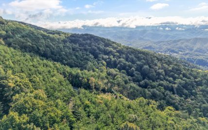 Tract 24 Chilhowee Mountain Trail, Maryville, TN 37803 - Photo 32