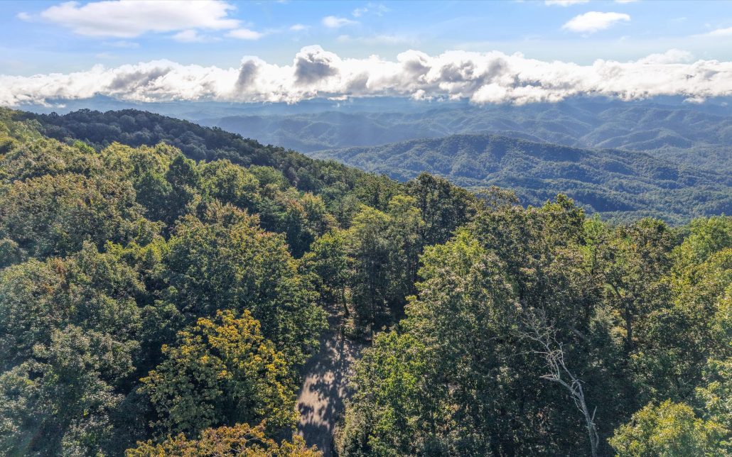 Tract 24 Chilhowee Mountain Trail, Maryville, TN 37803 - Photo 33