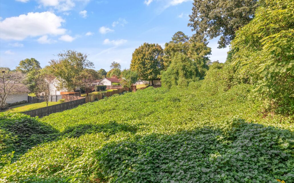 4335 Henson Road, Knoxville, TN 37921 - Photo 14