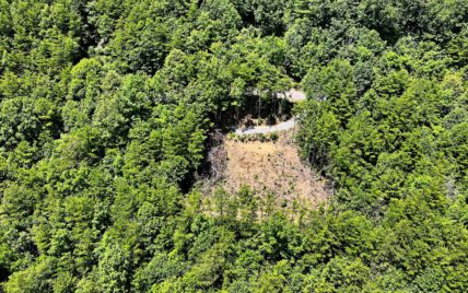 Tract 21 Look Rock Crest Drive Maryville, TN 37803 - Photo 17
