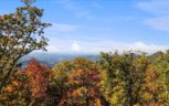 Alpine Drive, Sevierville, TN 37876 - Photo 14