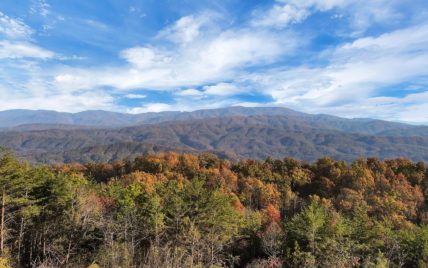 Tract 21 Look Rock Crest Drive Maryville, TN 37803 - Photo 2