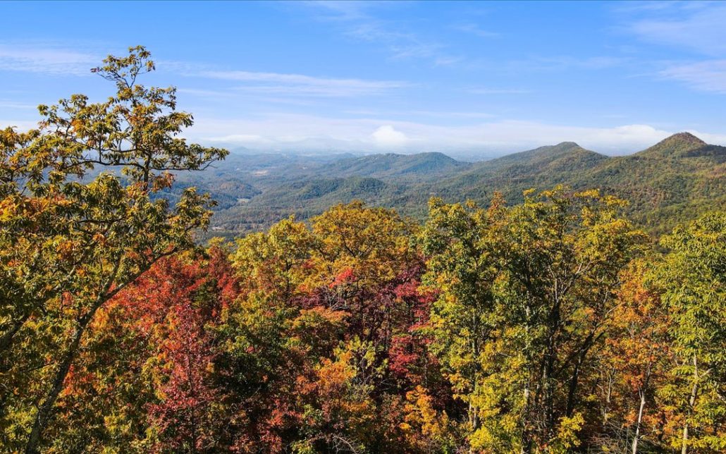 Alpine Drive, Sevierville, TN 37876 - Photo 15