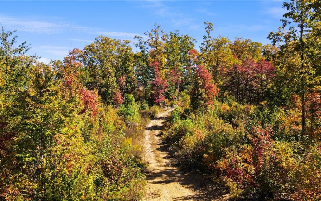 Alpine Drive, Sevierville, TN 37876 - Photo 20
