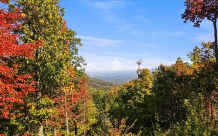 Alpine Drive - Photo 21