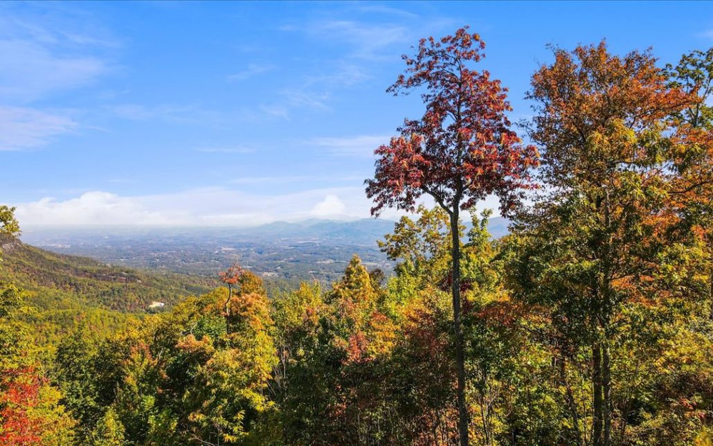 Alpine Drive, Sevierville, TN 37876 - Photo 22