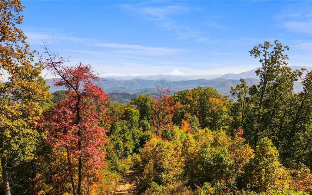 Alpine Drive, Sevierville, TN 37876 - Photo 25
