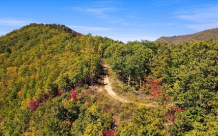 Alpine Drive - Photo 28