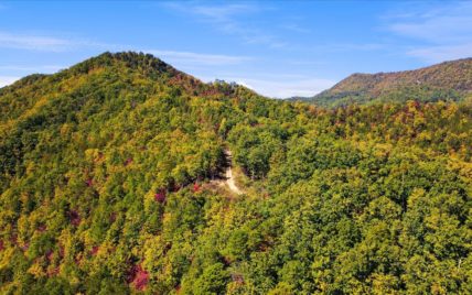 Alpine Drive - Photo 29