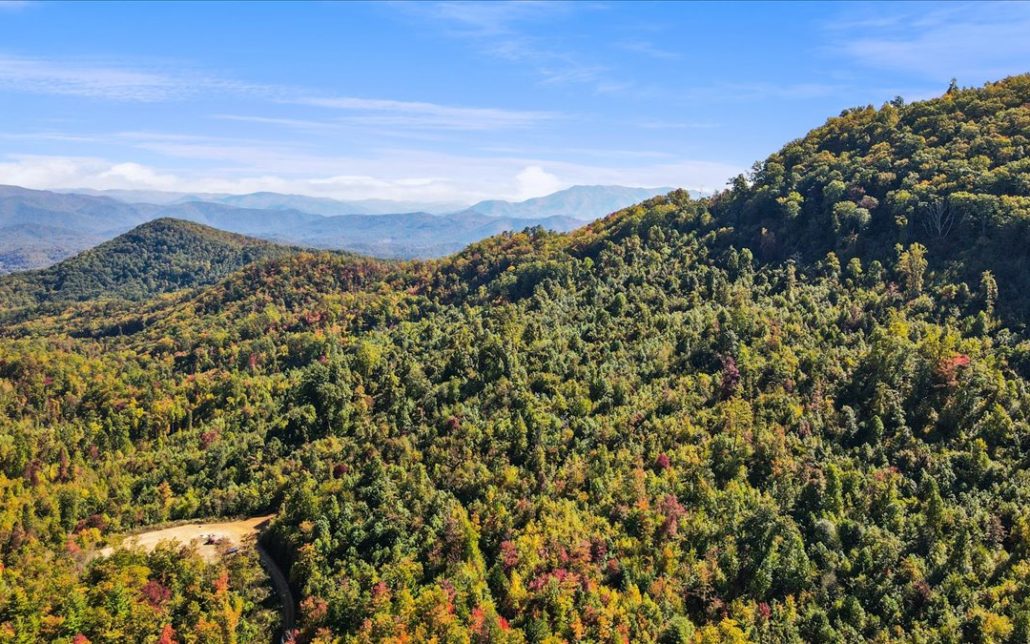Alpine Drive, Sevierville, TN 37876 - Photo 33
