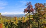 Alpine Drive, Sevierville, TN 37876 - Photo 34