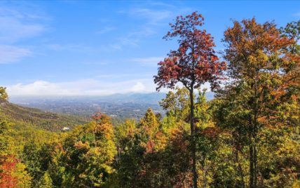 Alpine Drive - Photo 34